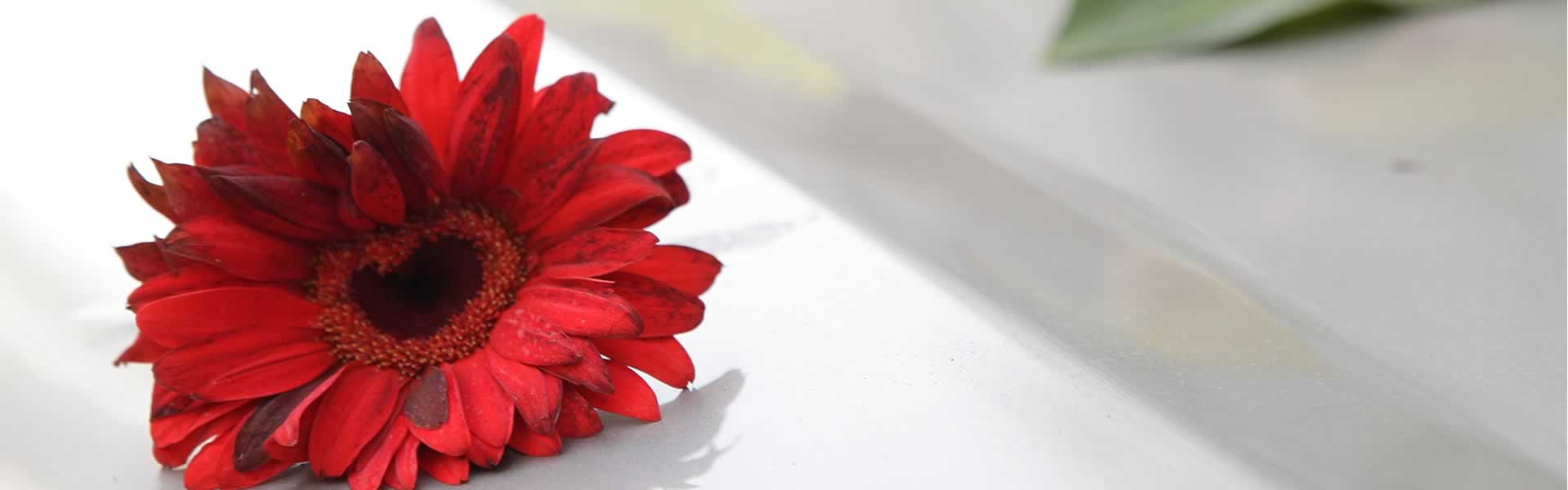 Fiori per addobbi cimiteriali