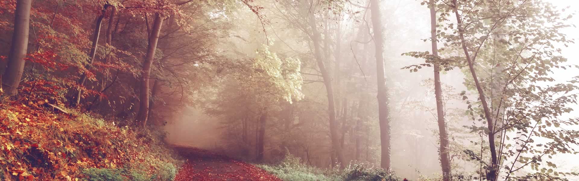 Servizi funebri Novi di Modena